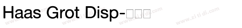 Haas Grot Disp字体转换